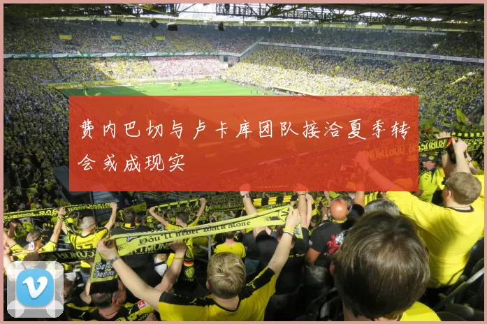 费内巴切与卢卡库团队接洽夏季转会或成现实
